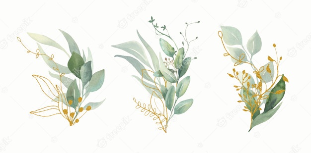 Flowrista online flower . 