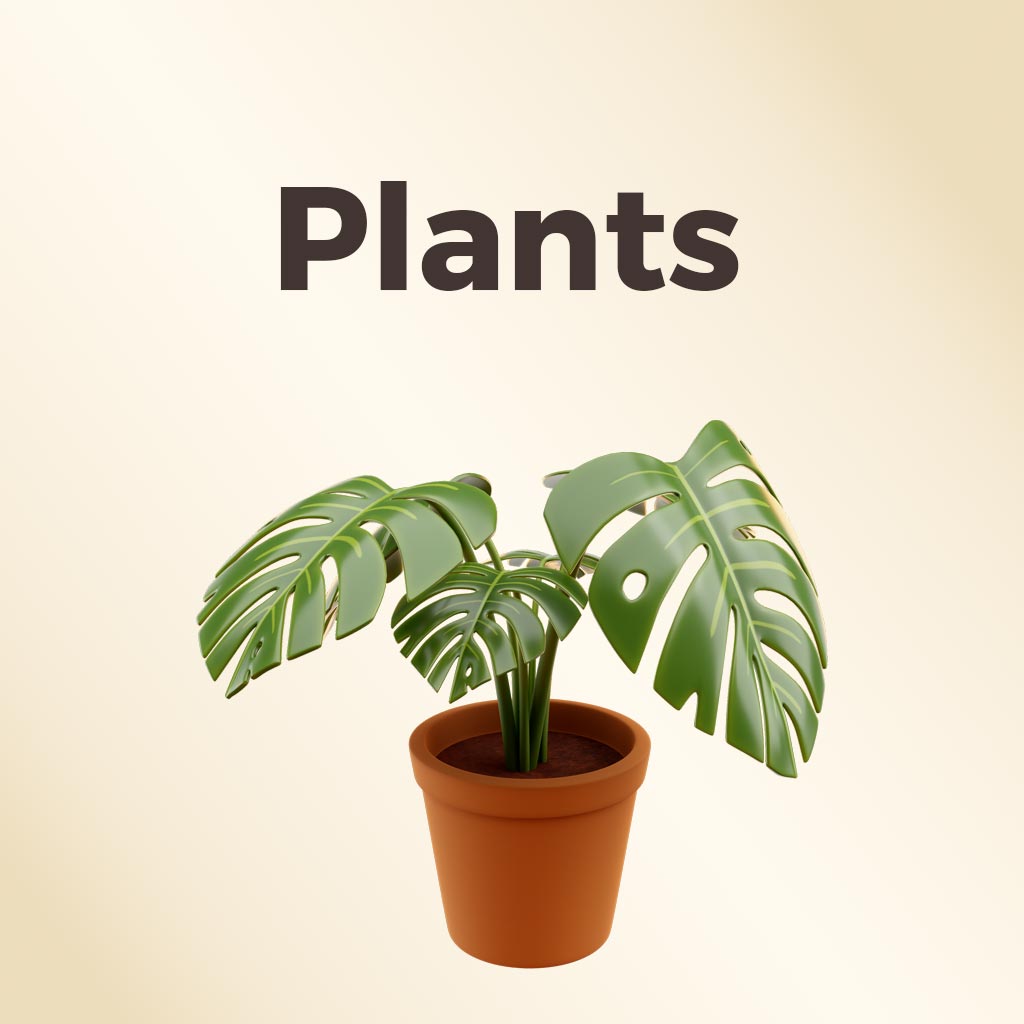 Plants