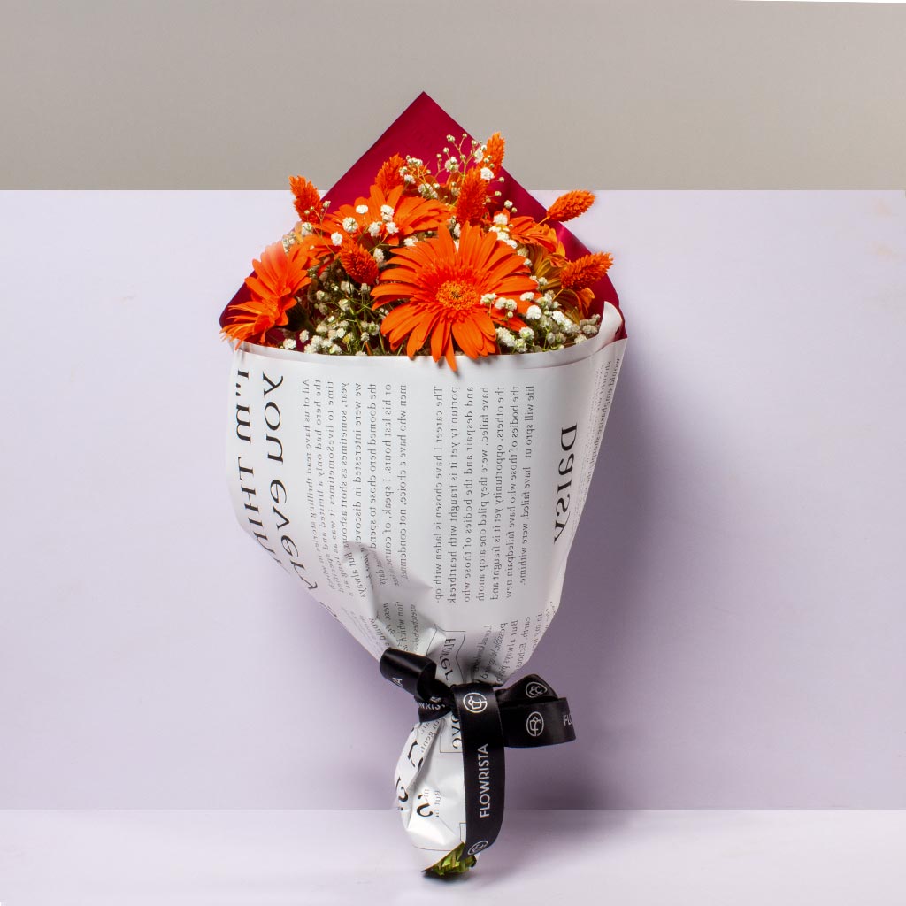 product-image-496