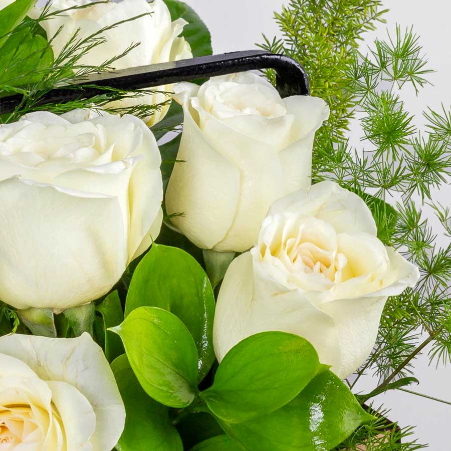 product-image-290