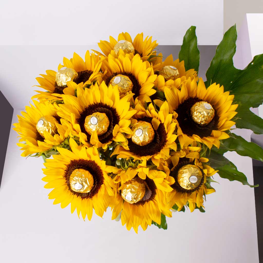 product-image-445