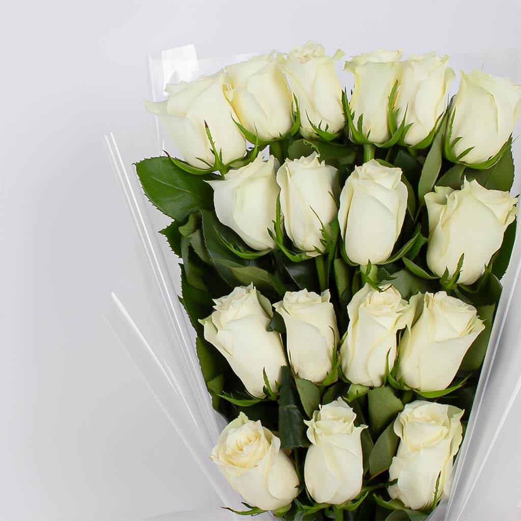 product-image-11434