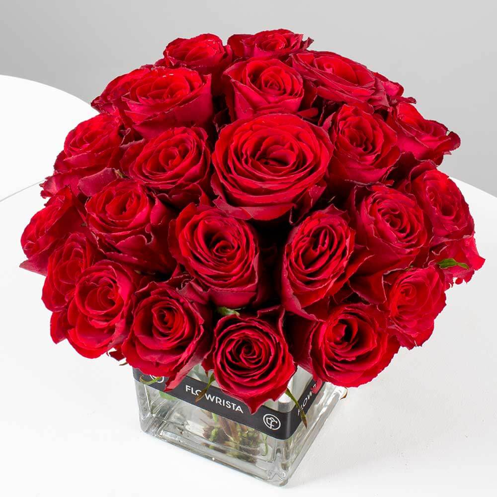 product-image-10800
