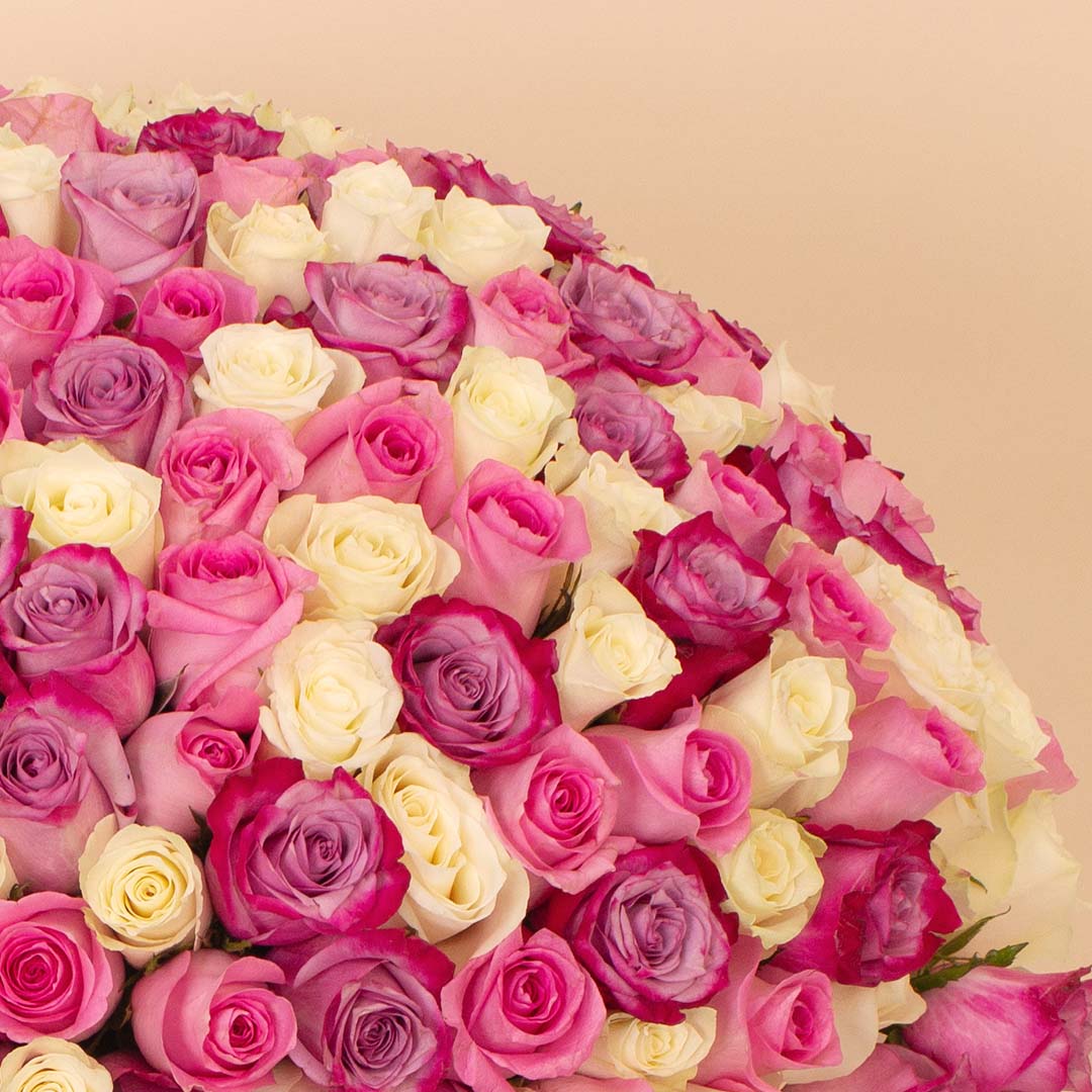 product-image-14135