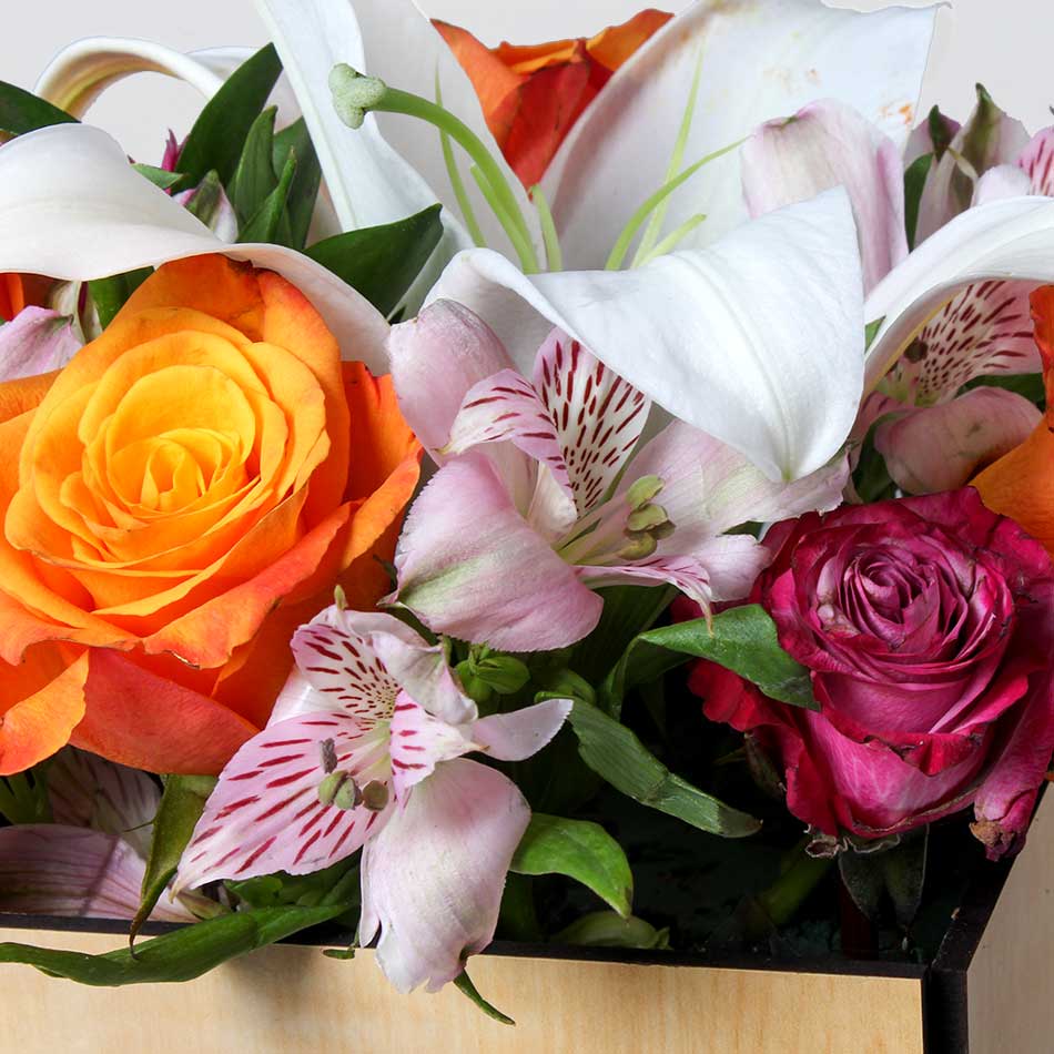 product-image-11099
