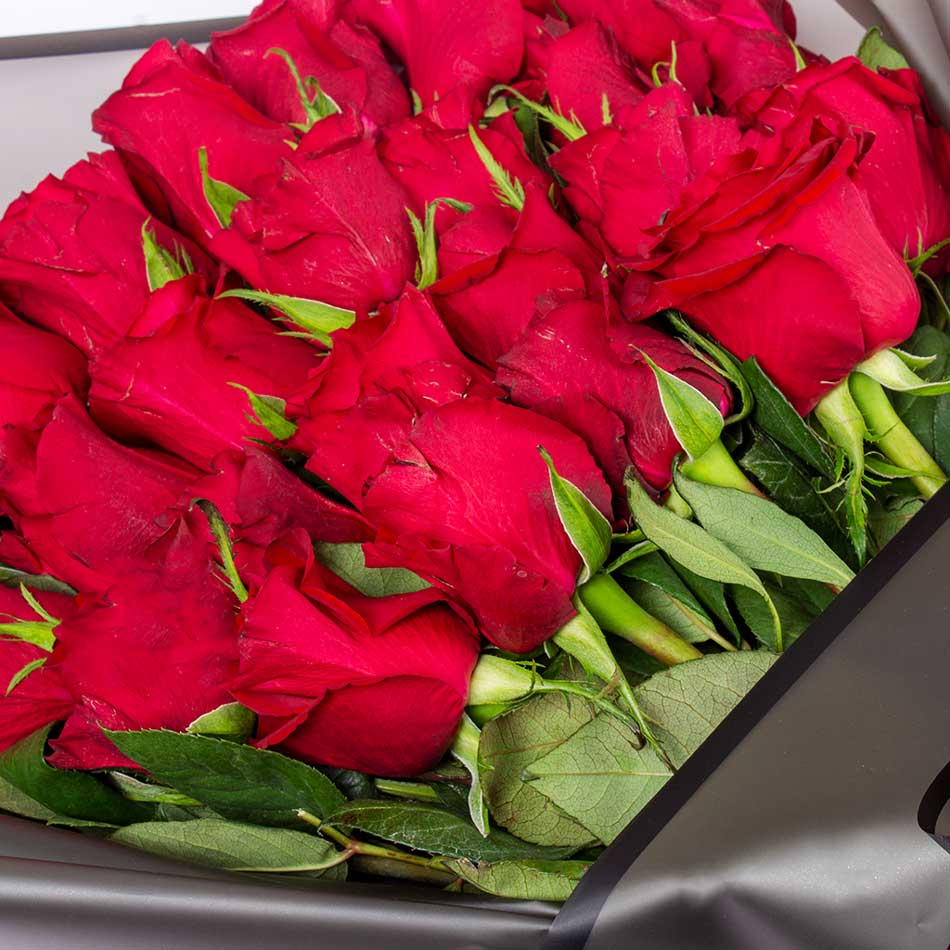 product-image-10677