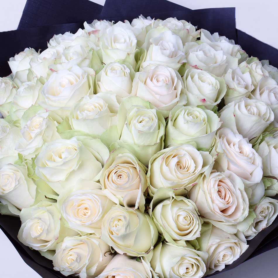 product-image-195
