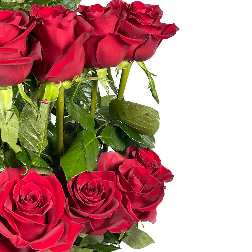 Roman Roses Box III