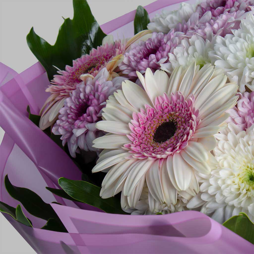 product-image-11588