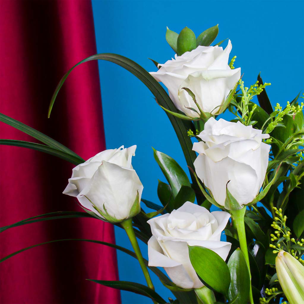 product-image-11529
