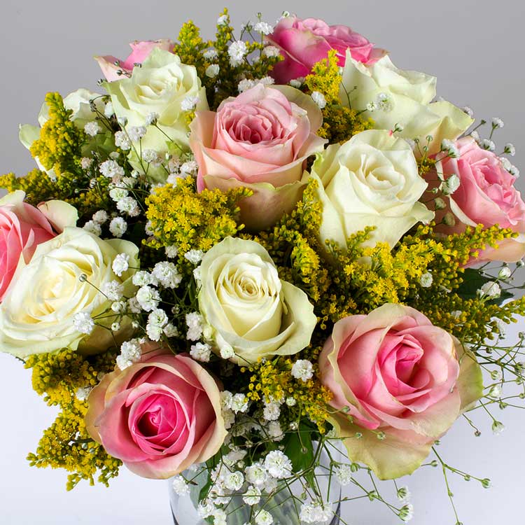 product-image-10806