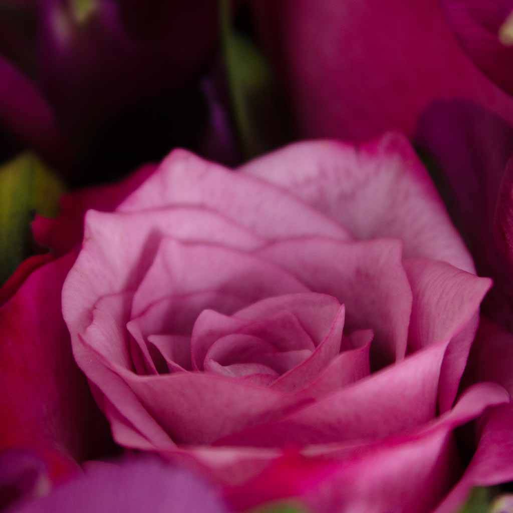 product-image-13548
