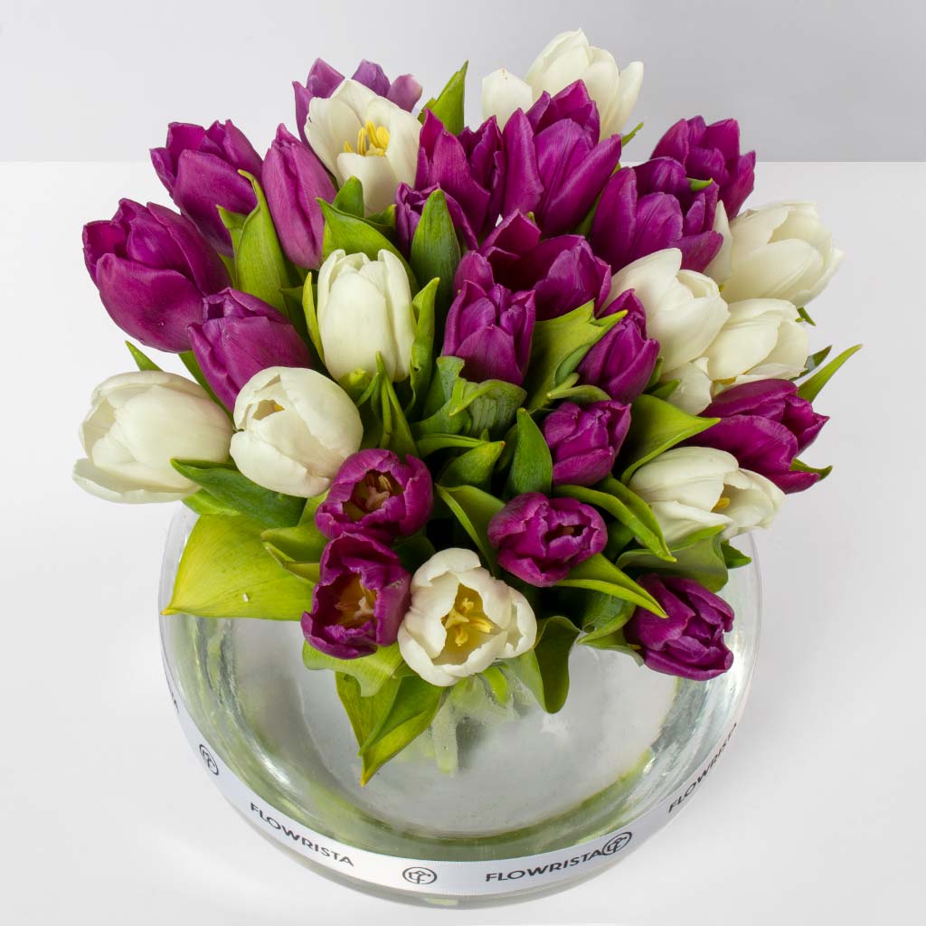 product-image-40