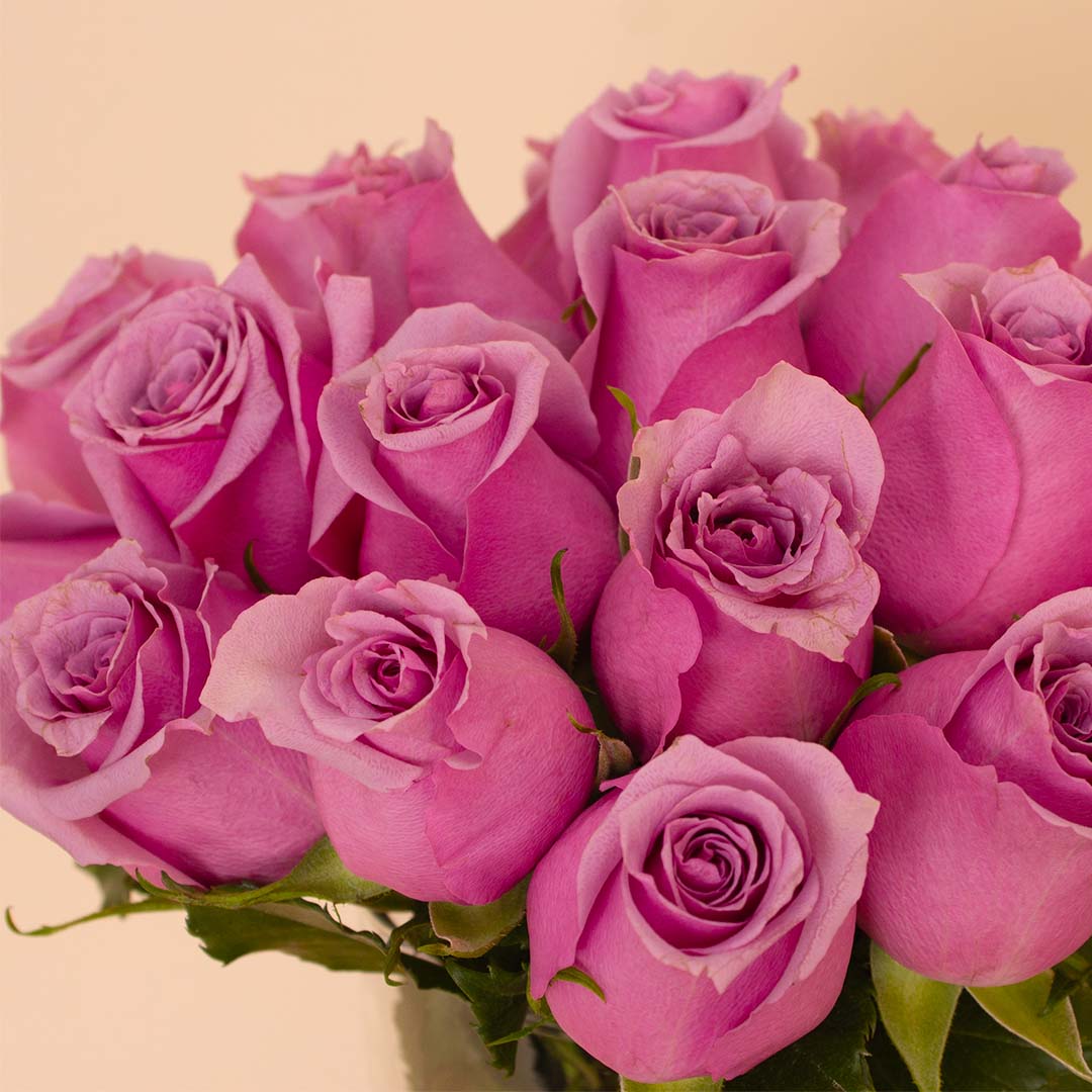 product-image-14075