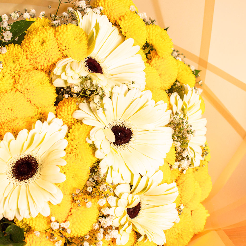 product-image-13917