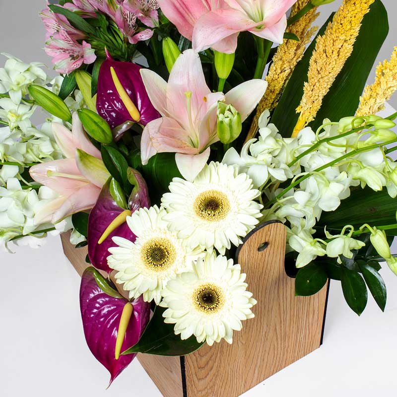 product-image-10663