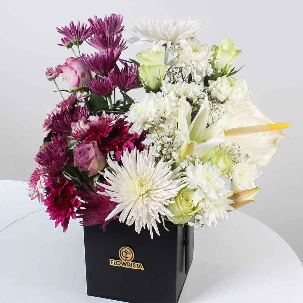product-image-11262