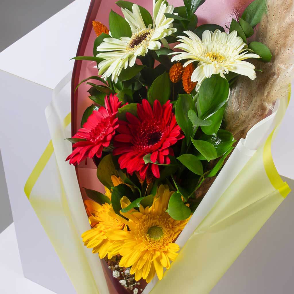 product-image-11317
