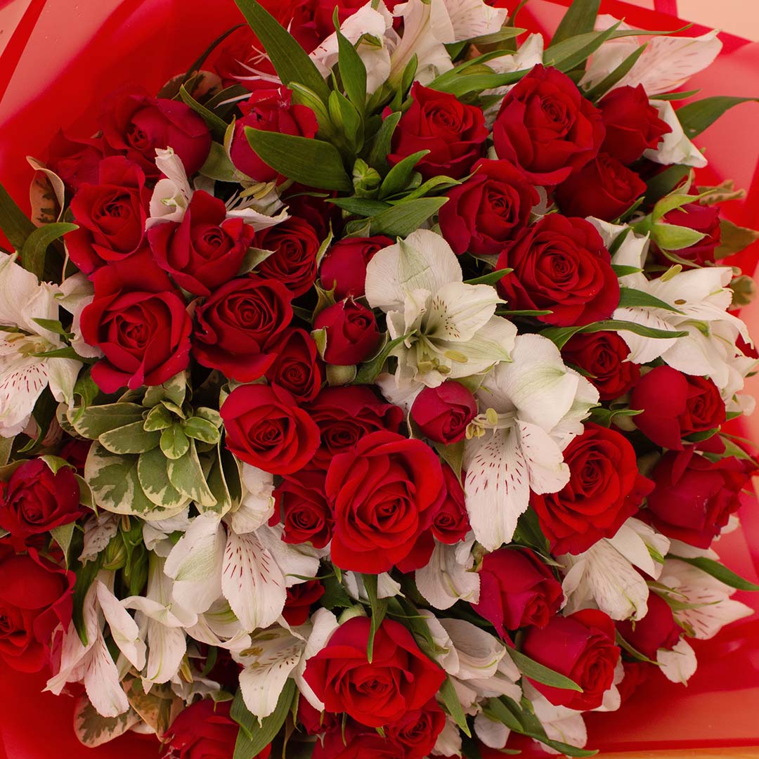 product-image-14121