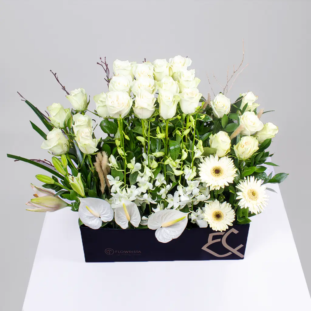 product-image-10660