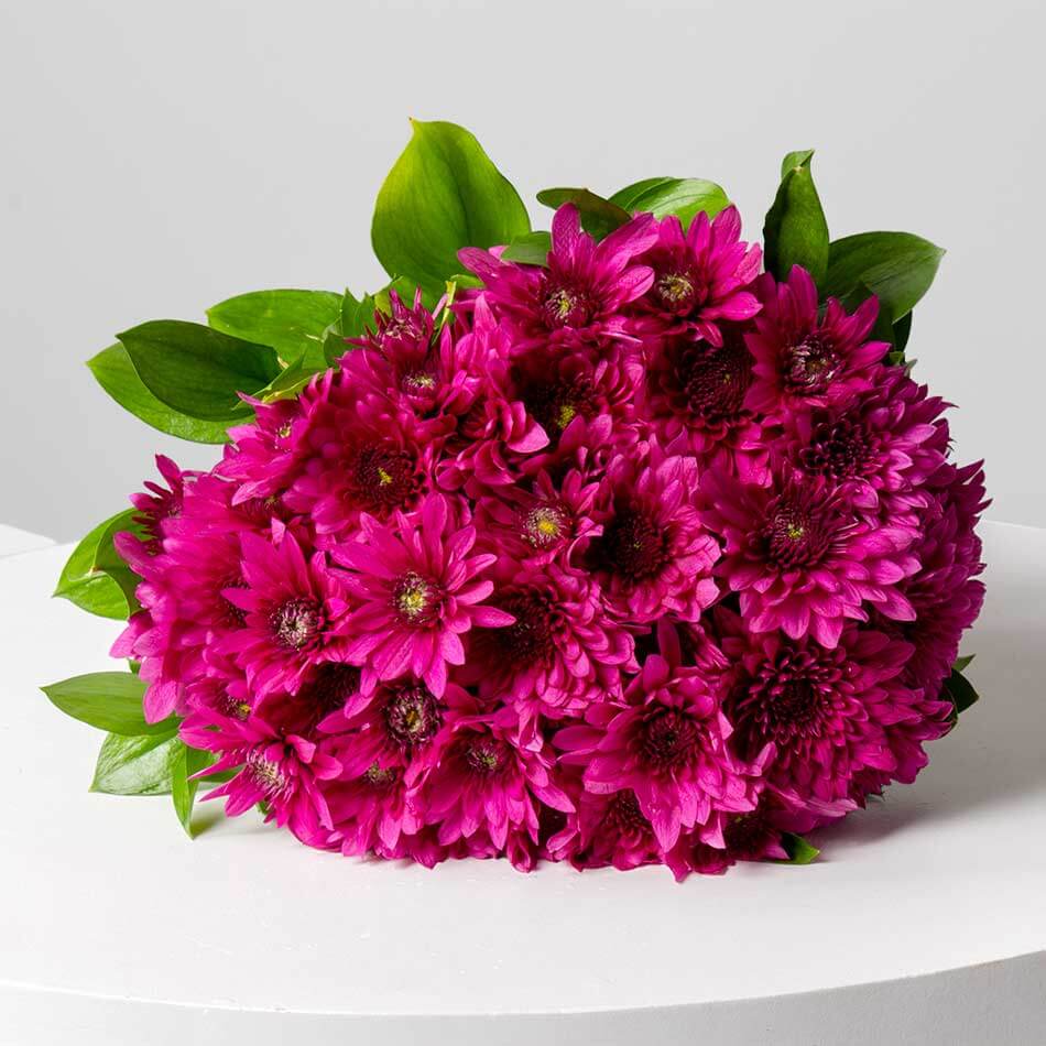 product-image-10797