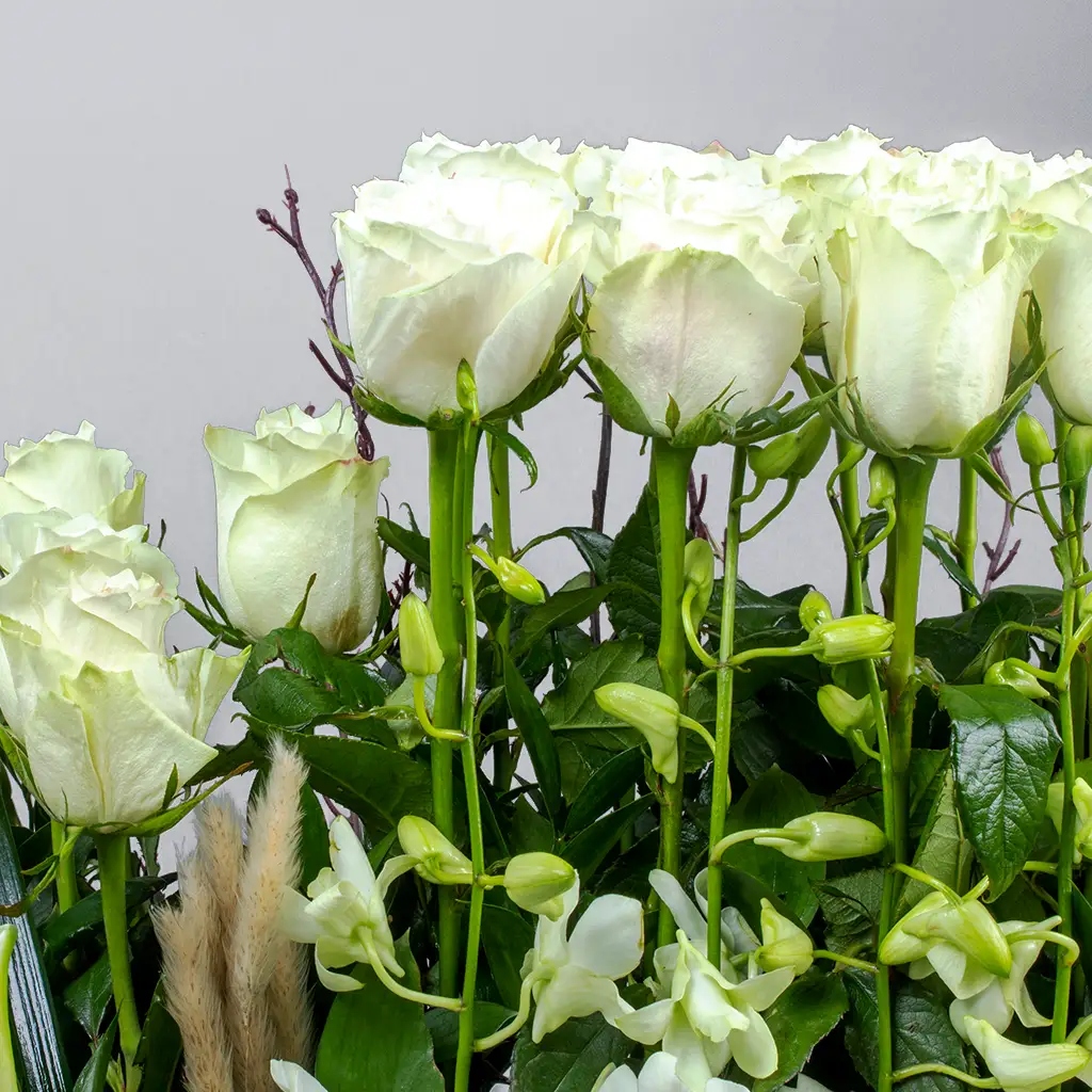product-image-10660