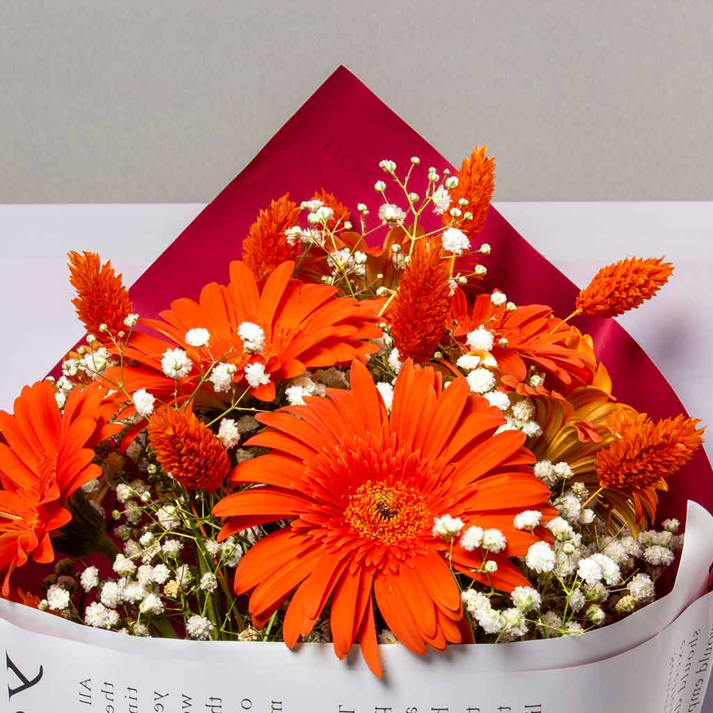 product-image-496