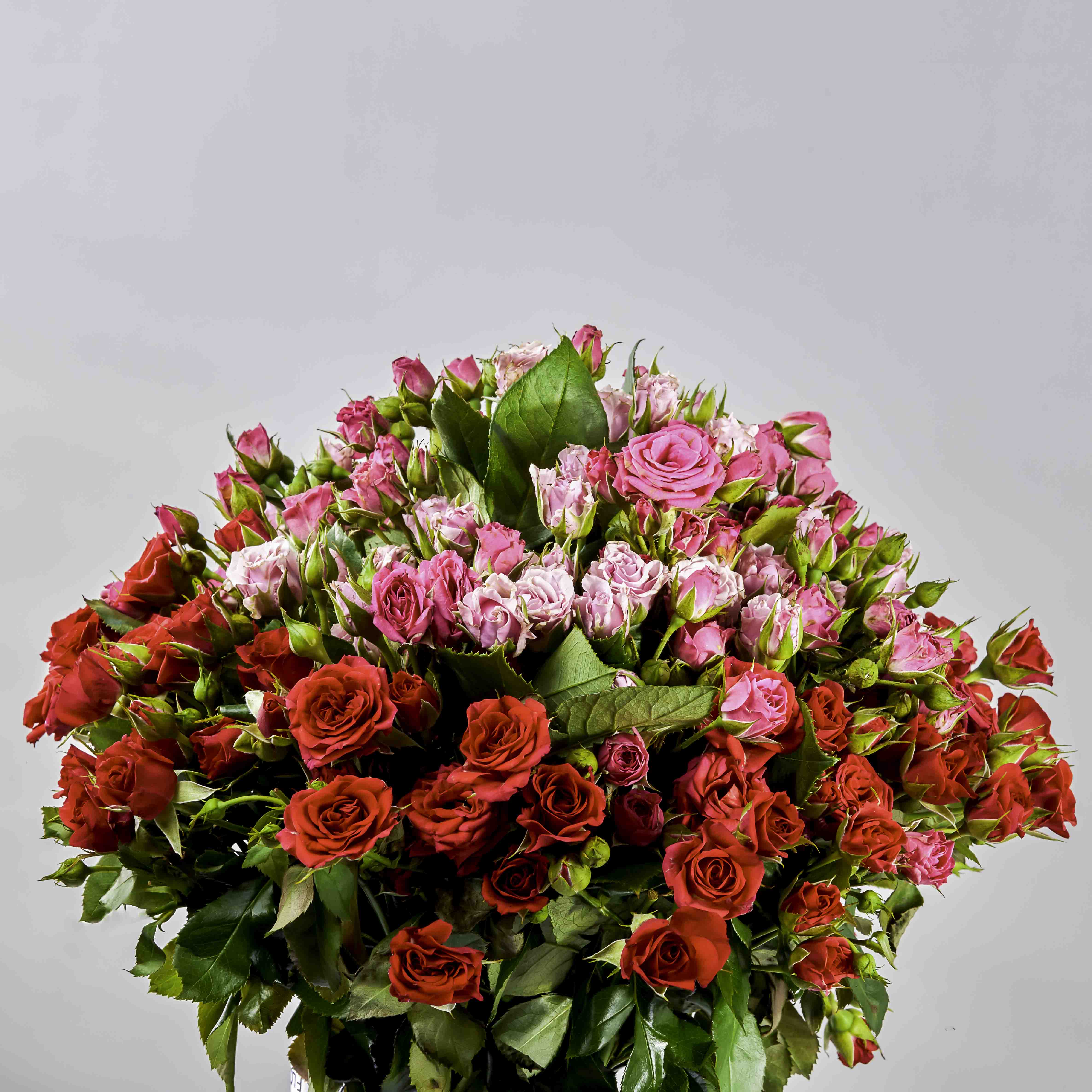 Blossomy