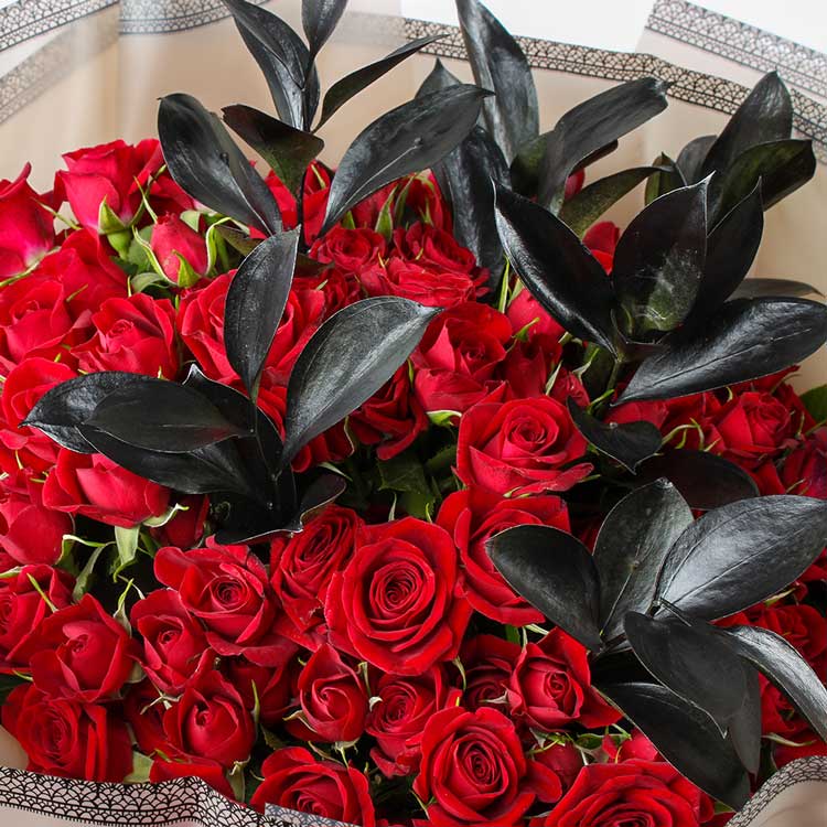Red Baby Rose