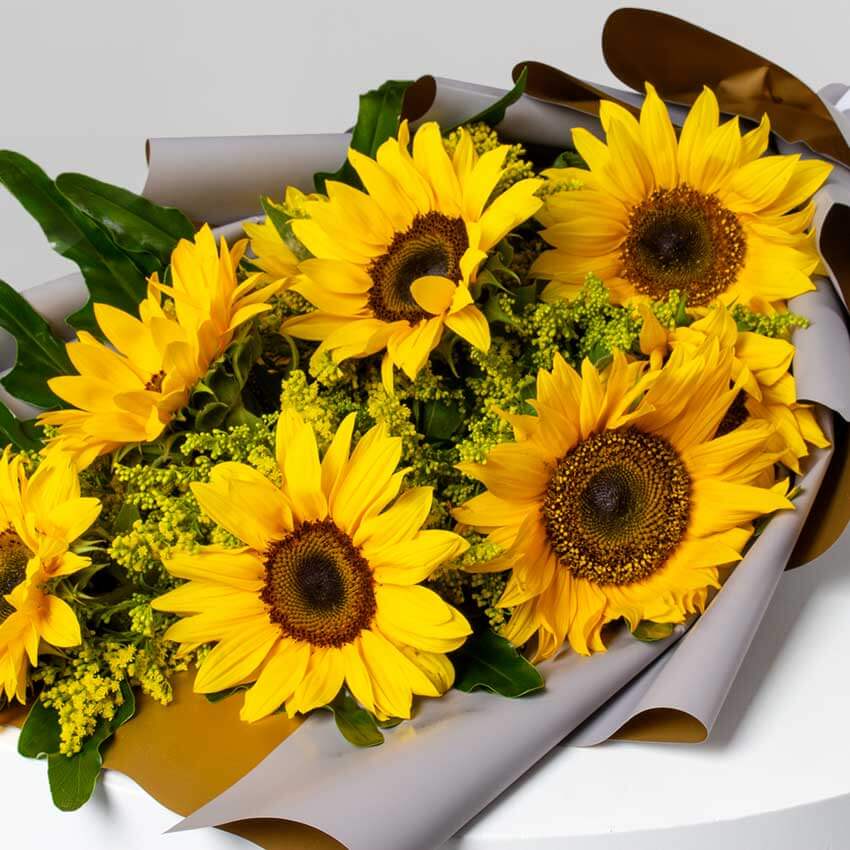 product-image-10798