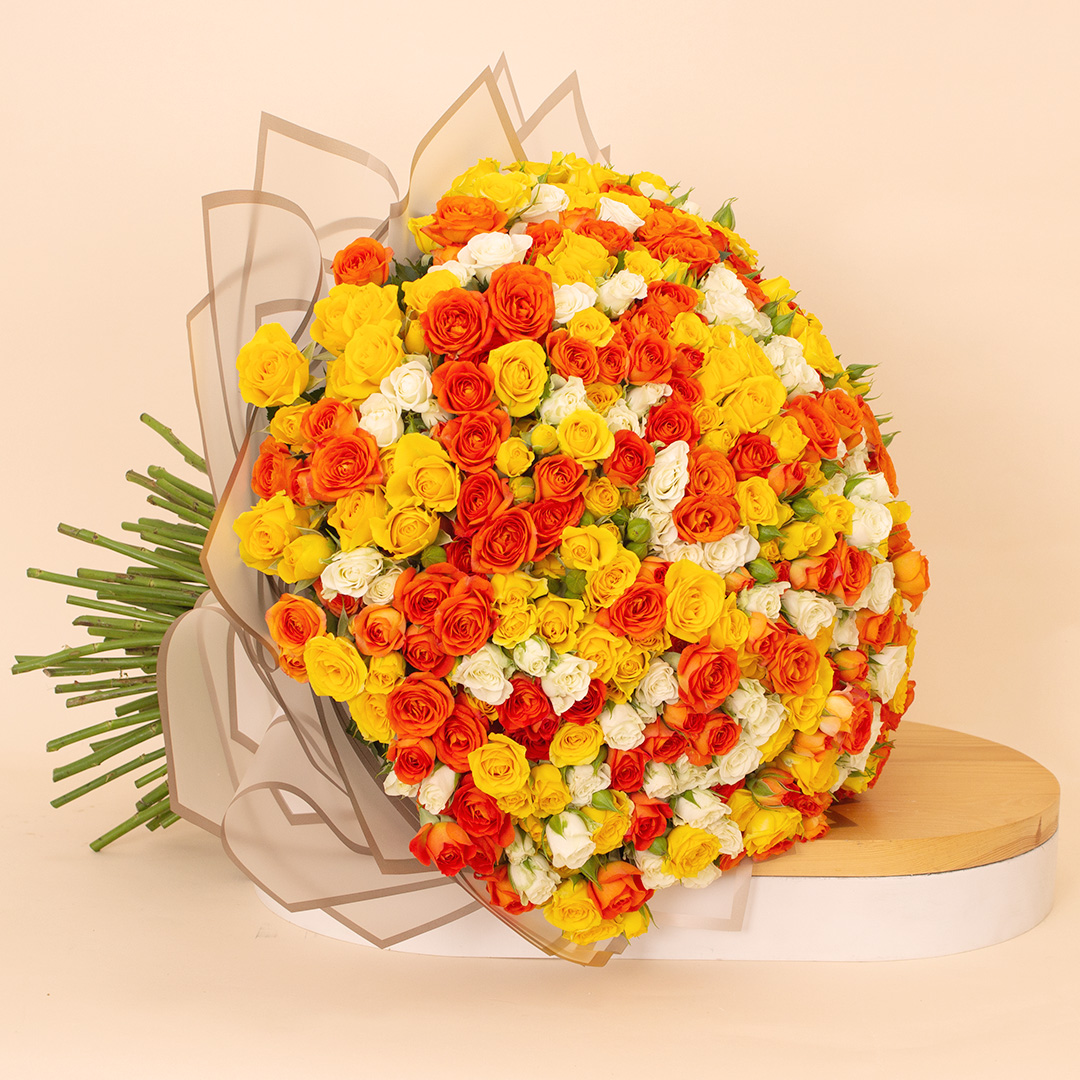 product-image-14116