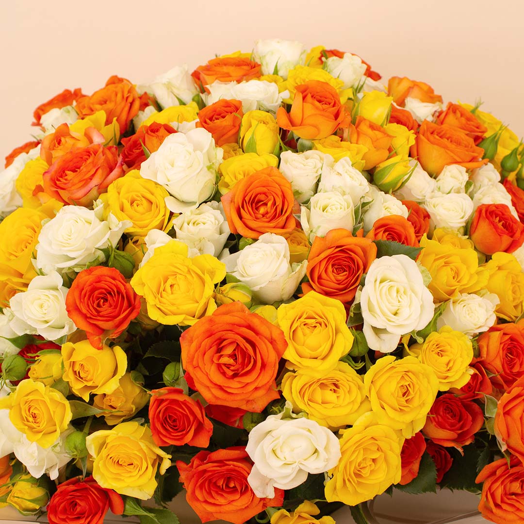 product-image-14129