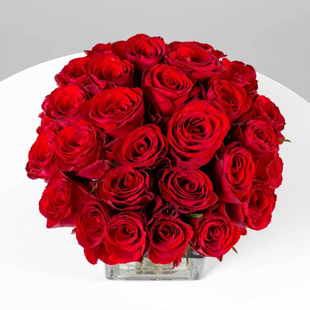 product-image-10800