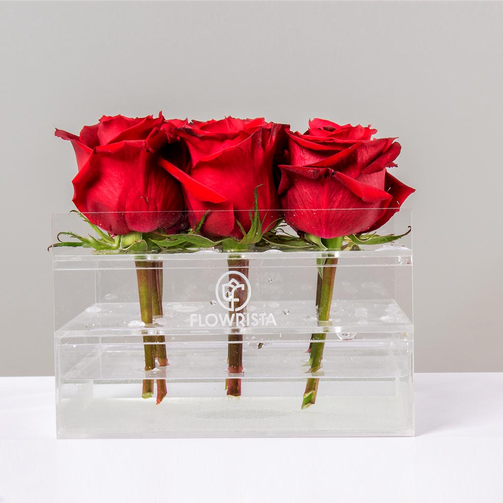 product-image-331