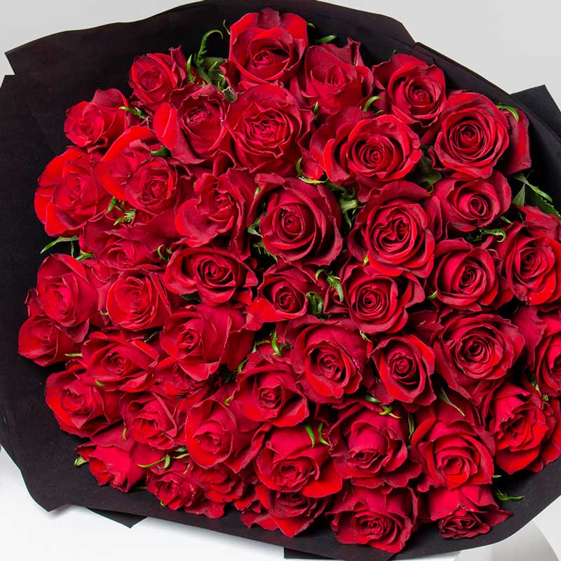 product-image-10910