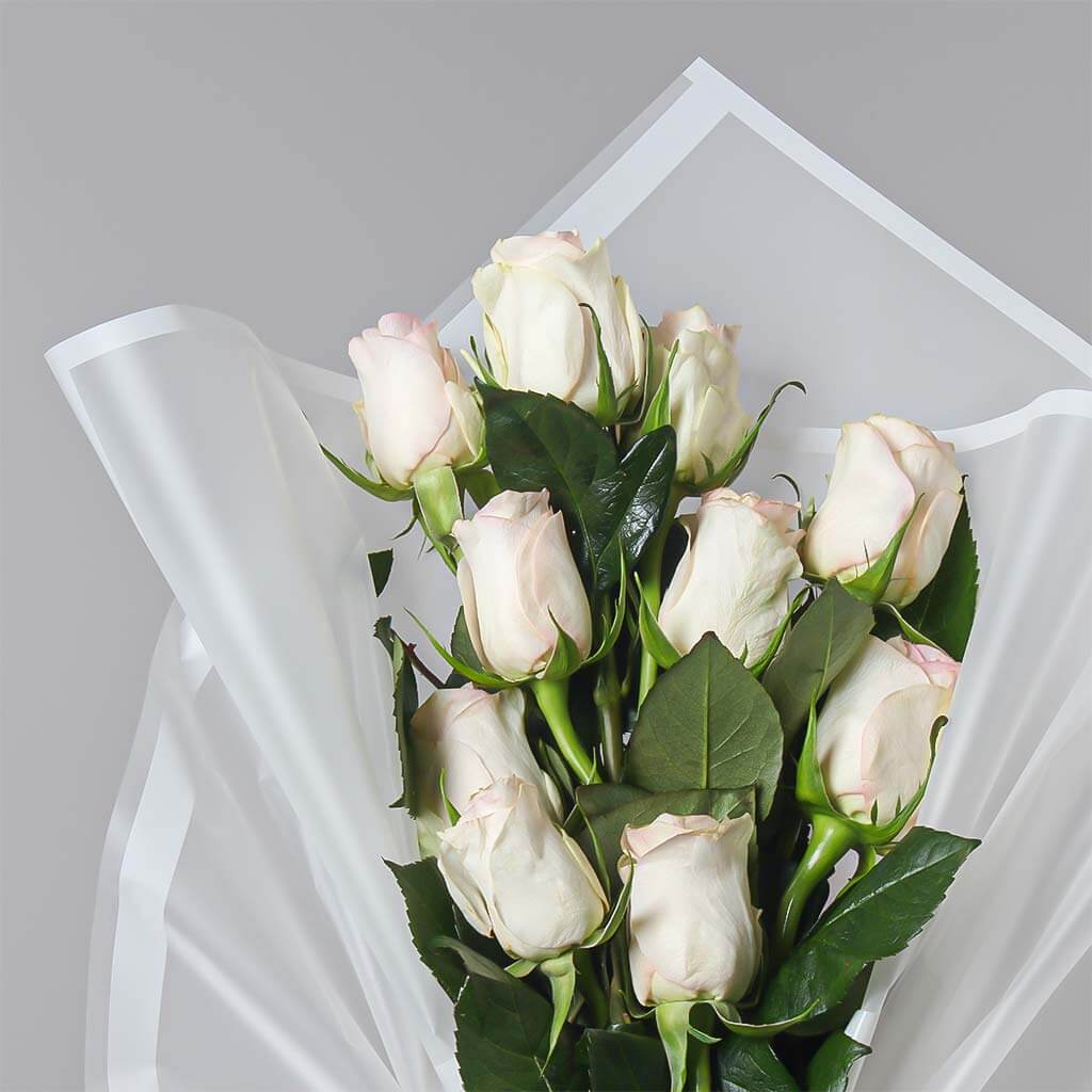 product-image-11326