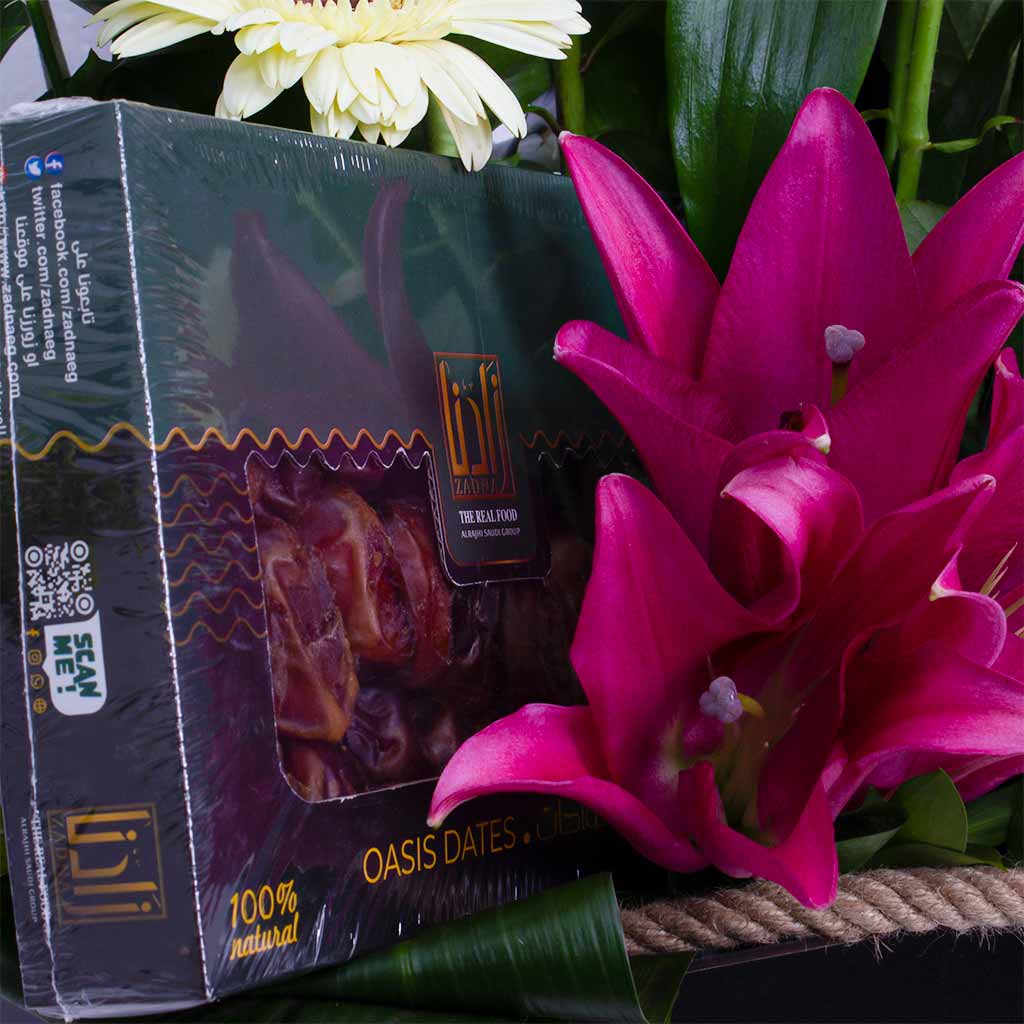 product-image-11842