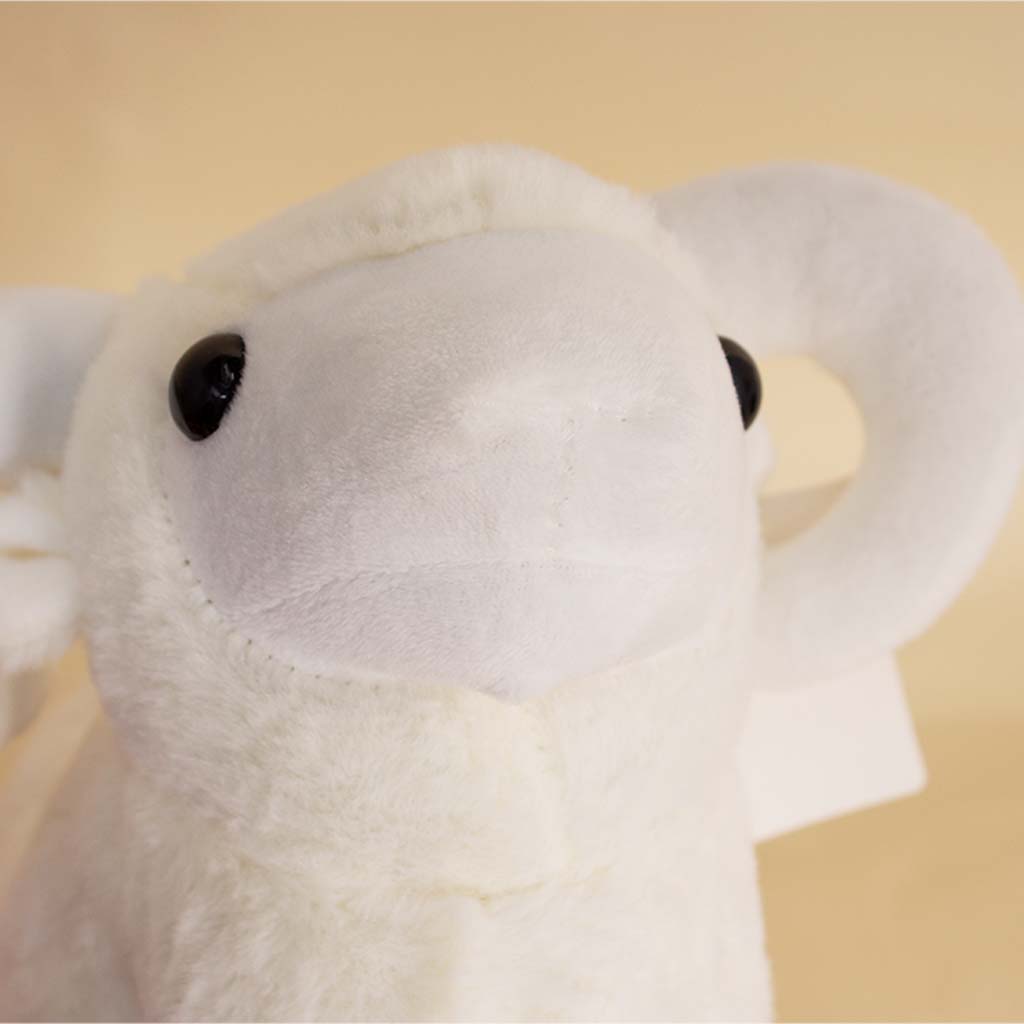 product-image-13700