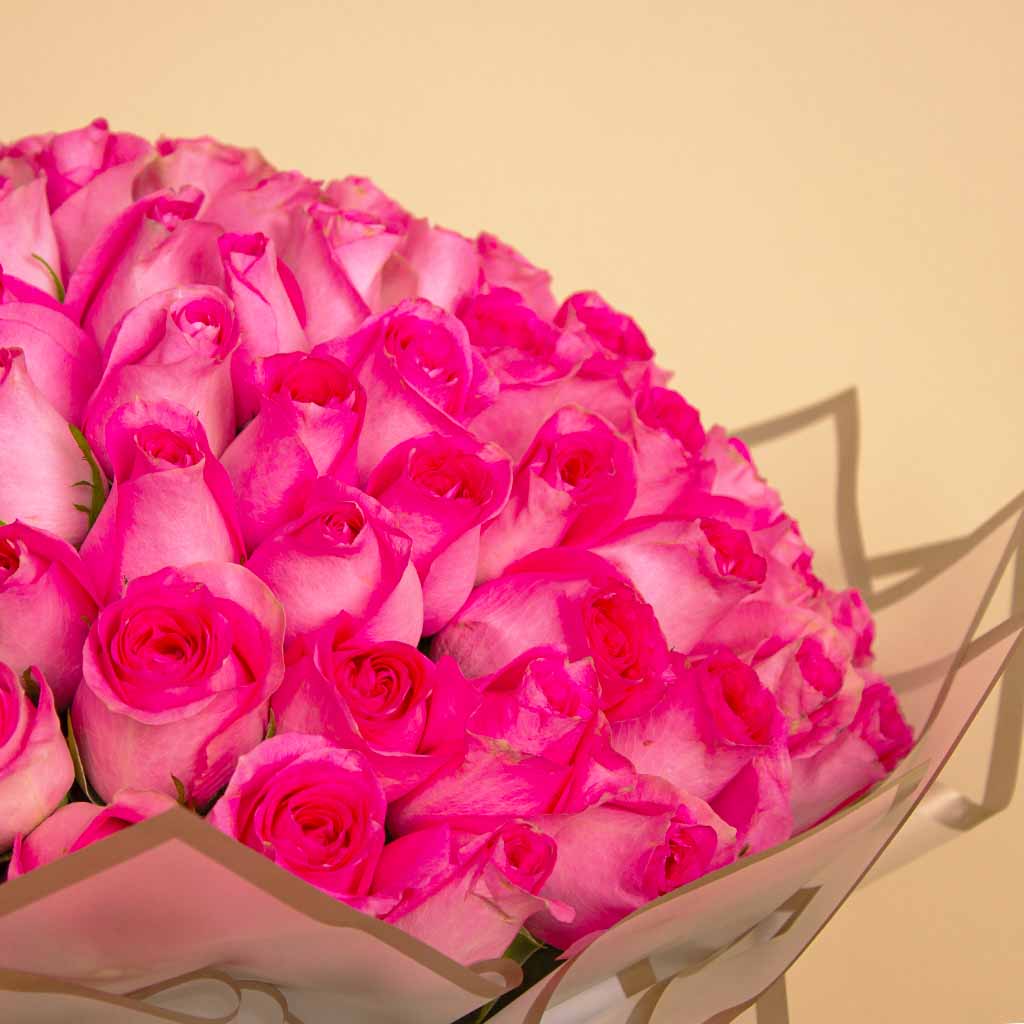 product-image-12218