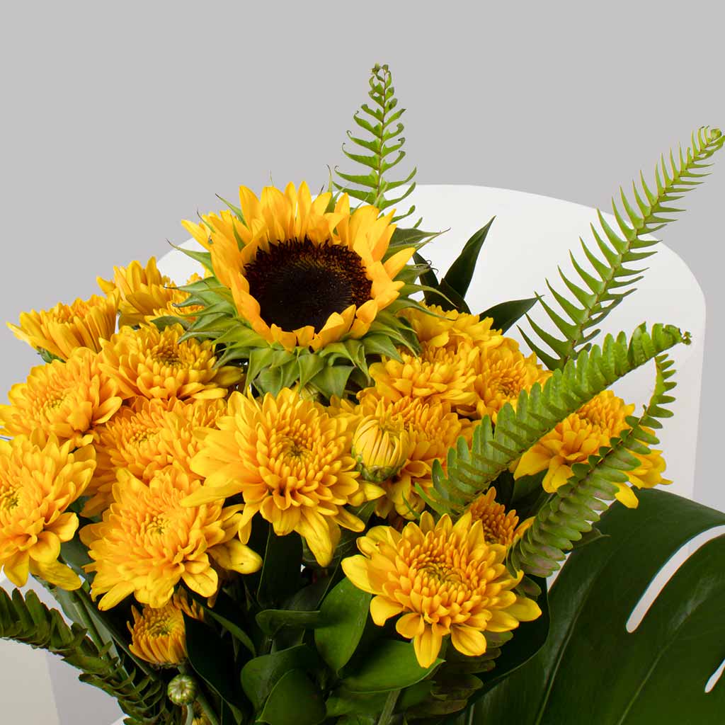 product-image-11451