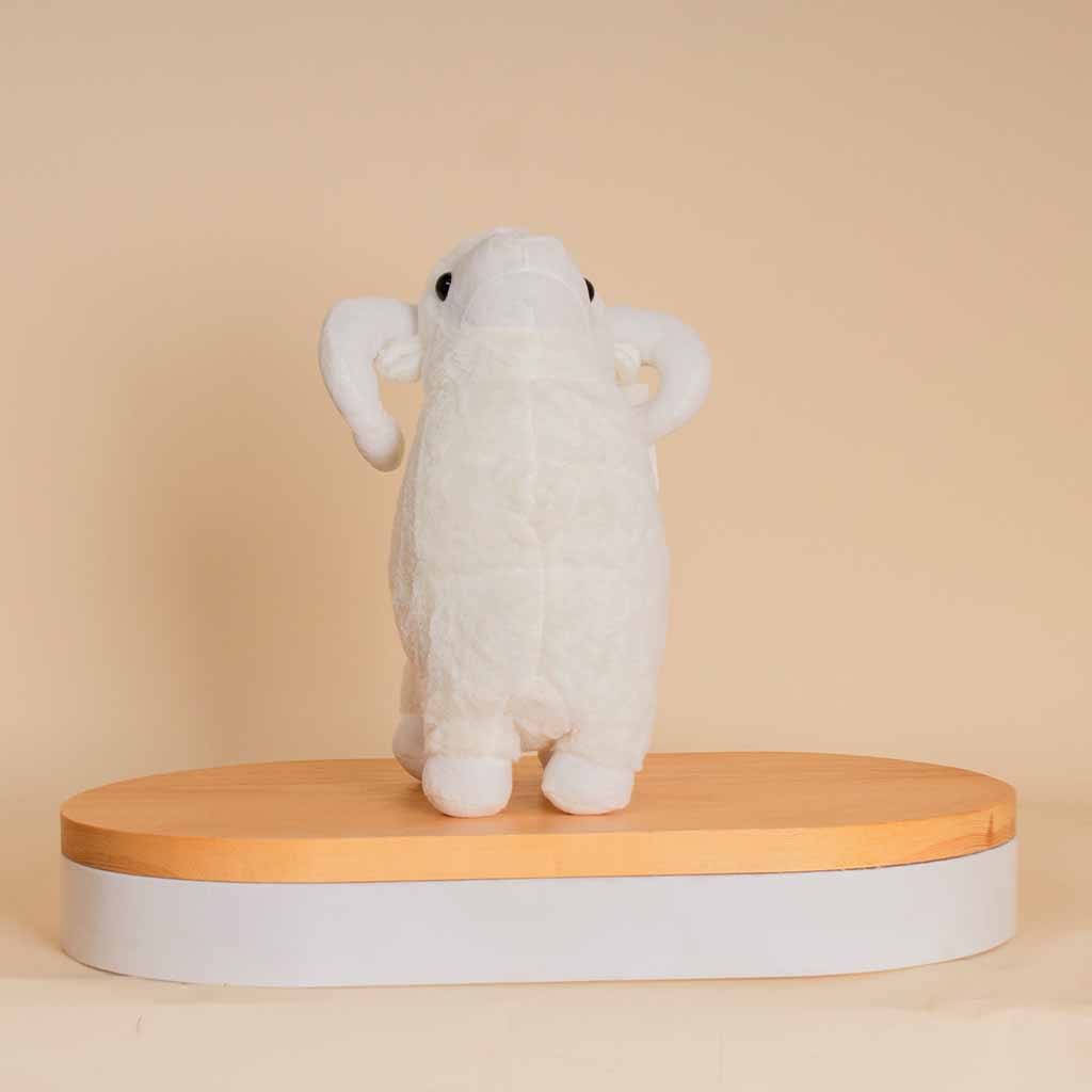 product-image-13688