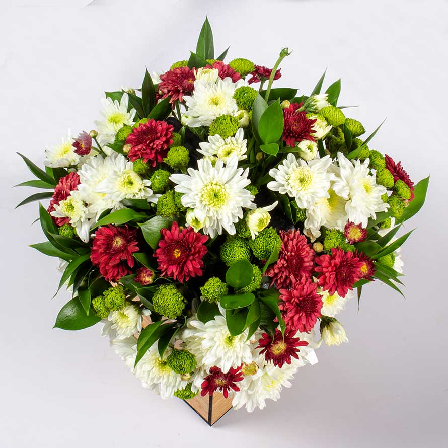 product-image-10613
