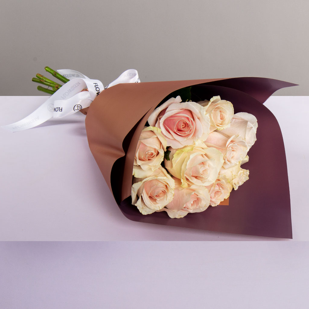 product-image-488