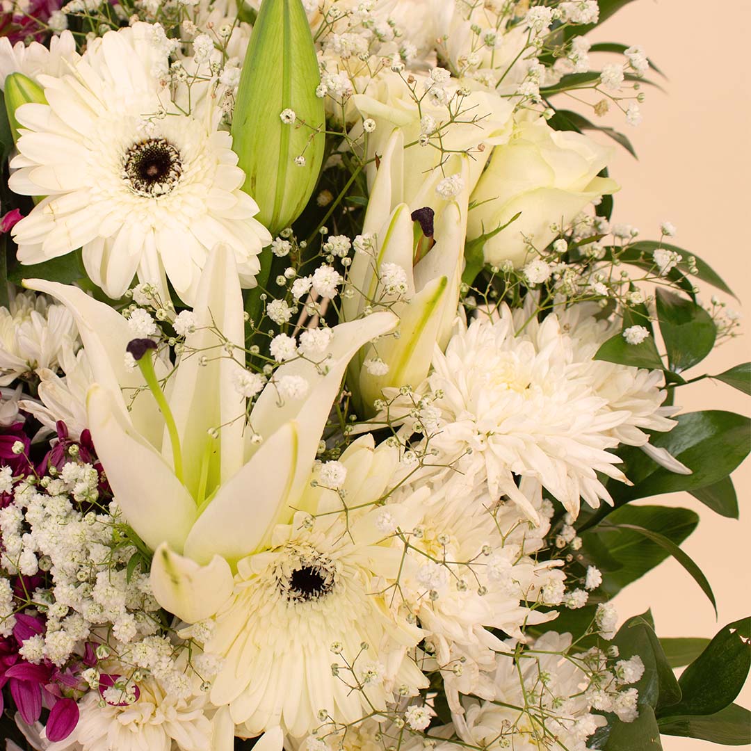 product-image-11262