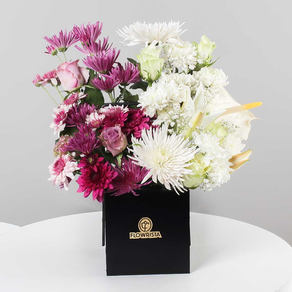 product-image-11262