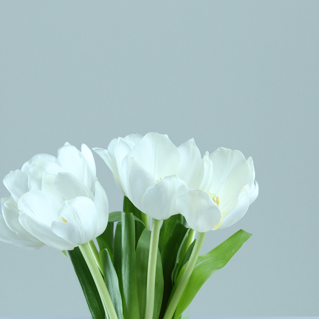 Tulips jar