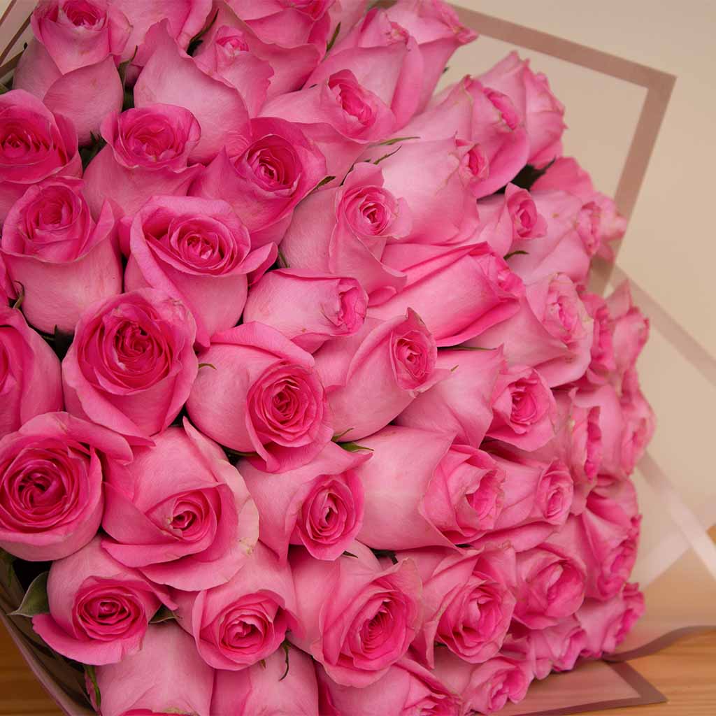 product-image-13412