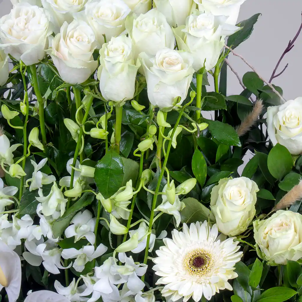 product-image-10660