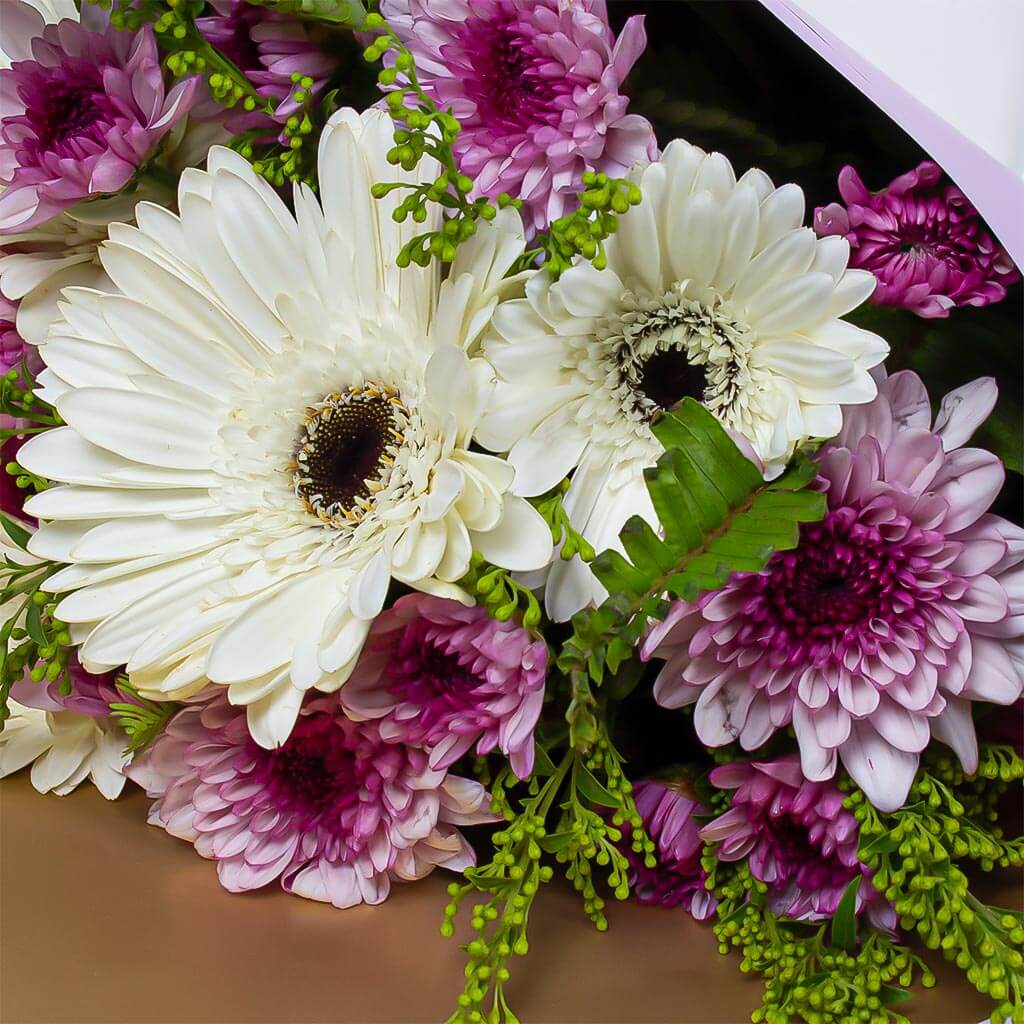 product-image-11386
