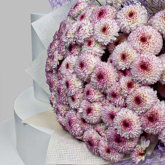 product-image-11615